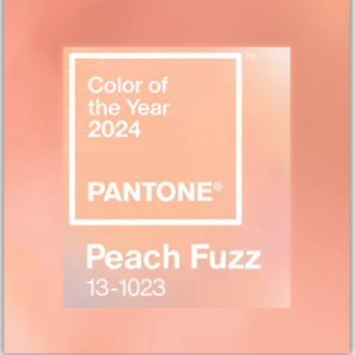 📍Peach Fuzz,  couleur de l’année 2024